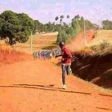 Nate Nolan tweet media