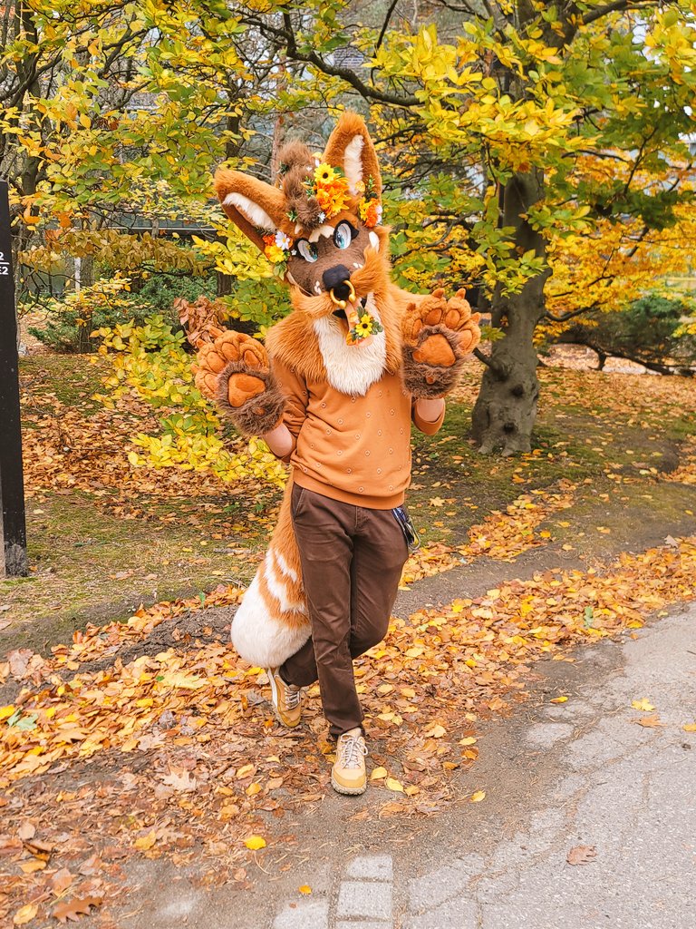 Djinger_'s tweet photo. Autumn leaves just hit diff

#FursuitFriday https://t.co/tCppAu3dV2