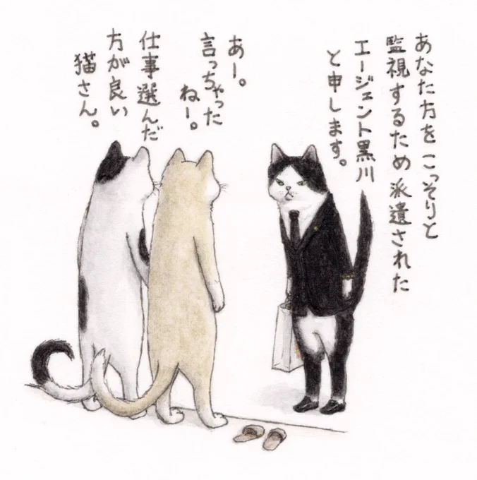 『猫国家秘密機関からやってきたルーキー』
😼🐱🐱

はじめの挨拶は大事だよ👞🧳

#キミとダスキス  
#ドタバタ猫ズ 