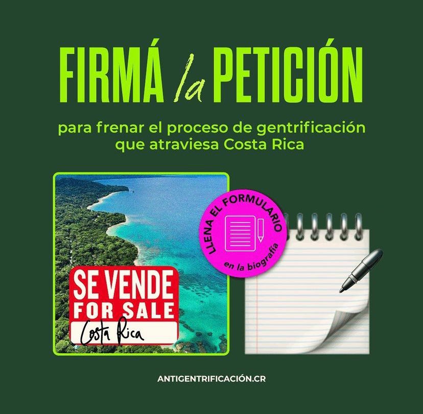 antigentrificacion. cr tweet media