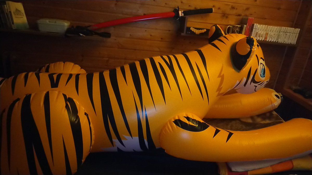 One of 2 inflatables that i received yesterday and i am in love with it cx hopefully it'll be holding up as long as possible as i have heard from people that it can quite easily get leaks