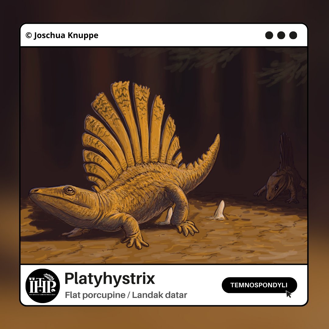 ihpitptweet's tweet photo. #Platyhystrix, Amfibi berpunggung layar unik dari Amerika
.
.
🐸 A Thread 🐸 https://t.co/jui6FNC5jD