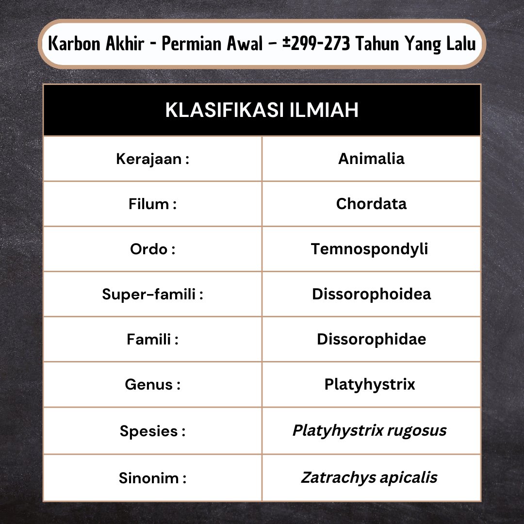 ihpitptweet's tweet photo. #Platyhystrix, Amfibi berpunggung layar unik dari Amerika
.
.
🐸 A Thread 🐸 https://t.co/jui6FNC5jD