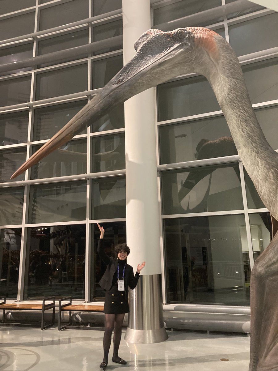 Barrerasaurus's tweet image. Quetzalcoatlus!
Science Museum of Minnesota.
@sciencemuseummn
#SVP2024