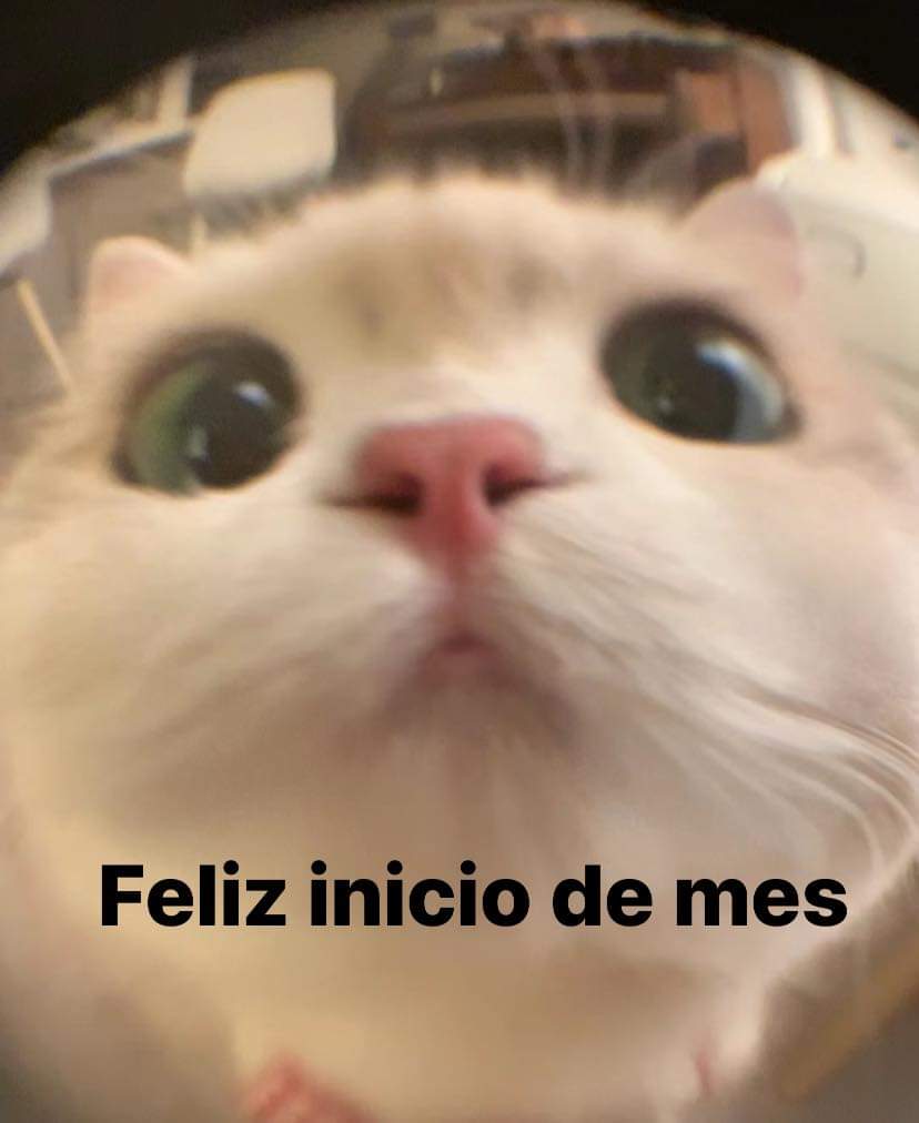 MaximaCyborg's tweet image. A veces solo ay que ir por un helado y seguir adelante