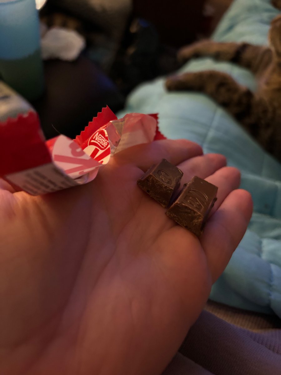 Lauralees tweet media