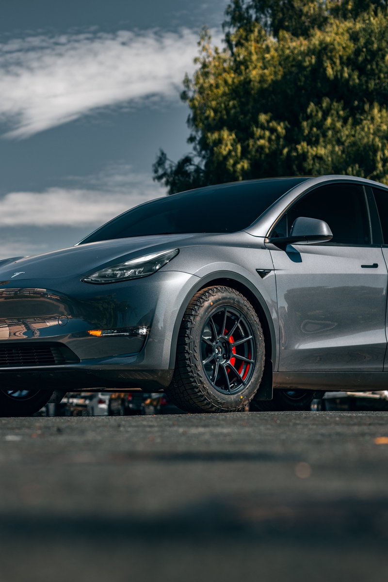 ZEVcentric tweet media