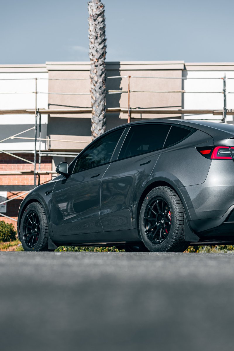 ZEVcentric tweet media