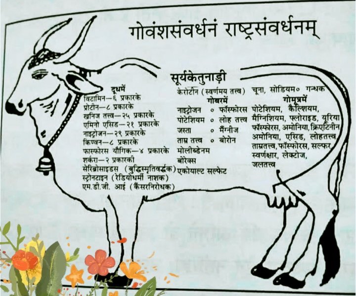 G.G.GOSWAMI (@gangagirigoswa3) on Twitter photo <a href="/AJAYAWASTHI108/">AJAY AWASTHI</a> भुक्त्वा तृणानि शुष्कानि पीत्वा तोयं जलाशयात् ।दुग्धं ददति लोकेभ्यो गावो विश्वस्य मातरः॥
#गोवर्धन_पूजा #गौरक्षा #गौसंवर्धन
"रूखे सूखे घास के तिनके खाकर और जलाशय से जल पीकर, संसार को दूध पिलाने वाली गाय सम्पूर्ण विश्व की माता हैं, जिनके दूध से हम अपने शरीर का पोषण करते हैं।" <a href="/AJAYAWASTHI108/">AJAY AWASTHI</a> भुक्त्वा तृणानि शुष्कानि पीत्वा तोयं जलाशयात् ।दुग्धं ददति लोकेभ्यो गावो विश्वस्य मातरः॥
#गोवर्धन_पूजा #गौरक्षा #गौसंवर्धन
"रूखे सूखे घास के तिनके खाकर और जलाशय से जल पीकर, संसार को दूध पिलाने वाली गाय सम्पूर्ण विश्व की माता हैं, जिनके दूध से हम अपने शरीर का पोषण करते हैं।"