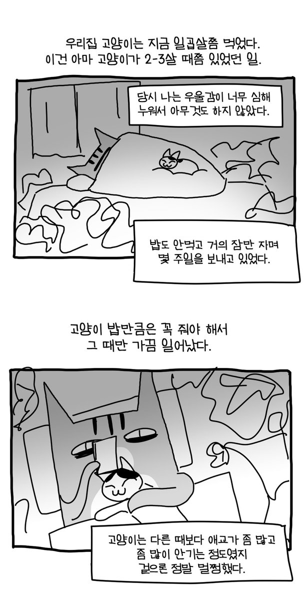 jin_jungsung tweet picture