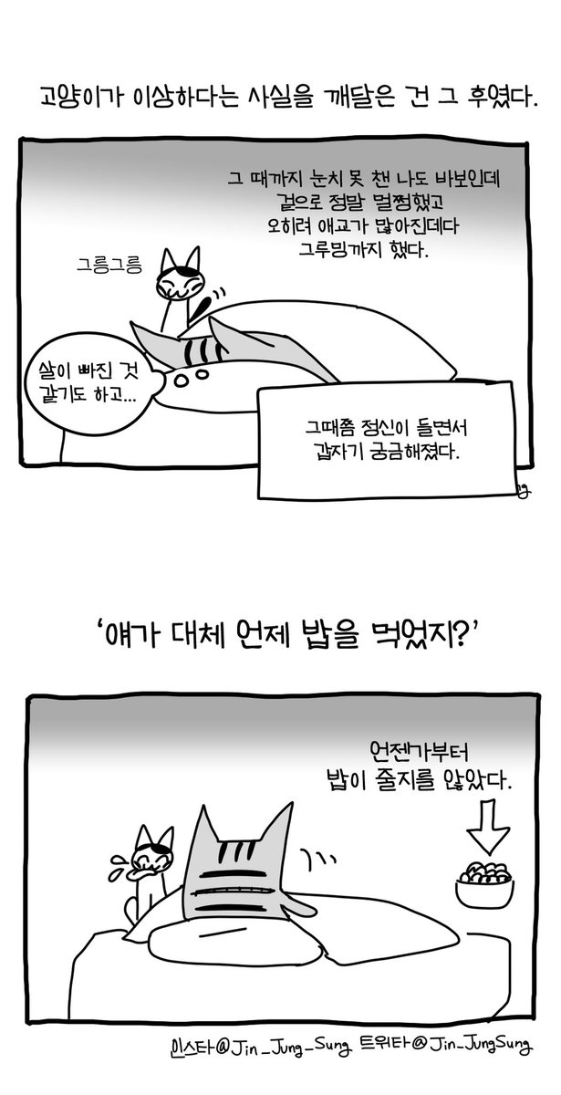 jin_jungsung tweet picture