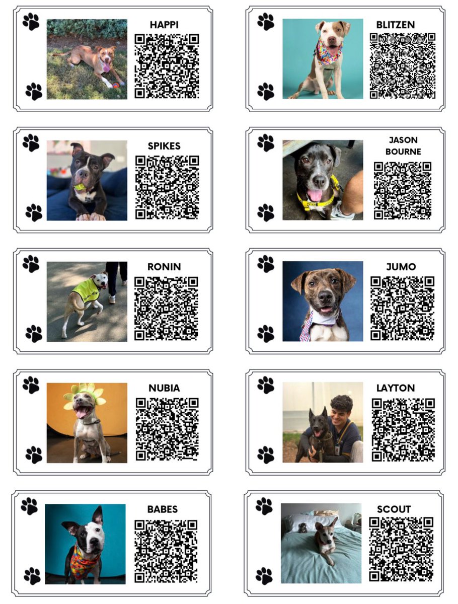 Dubs4Mutts's tweet image. 🐕‍🦺+🥎=♥️ Are you at the #ConnectSports_ #ScenicCity Fall tourney in #Dalton #Georgia 🍑 like us? Love dogs? Want a new BFF? 🤩 Check out these amazing doggies from #LifeLineAnimal👇🏼 Many more to choose from two locations lifelineanimal.org Shelter is FULL‼️ #AdoptDontShop