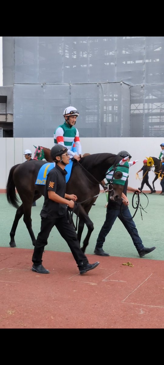 baken6111's tweet photo. 日にちは変わってしまいましたが
船橋競馬3レース
出資&amp;命名馬のジョイフルロックが
デビュー勝ち！！🥕🎸
初めての口取りできました🧑‍🤝‍🧑
ゼッケン持たせていただきこの場を借りてありがとうございます🙇
口取り参加者以外の出資者とも話せて
LINEメッセ、お祝いポストも見られて嬉しい（文字数… https://t.co/MX741u4SRK
