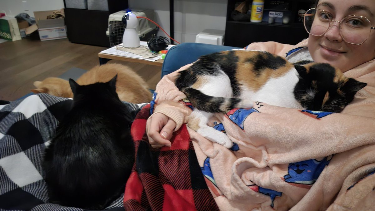 Essential post stream cuddles