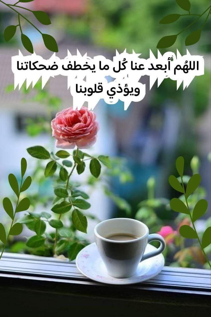 ا̍ڷڔٰا̍ڜد ּ 𝒜ℒℛ𝒜𝒮ℋ𝒟 tweet media