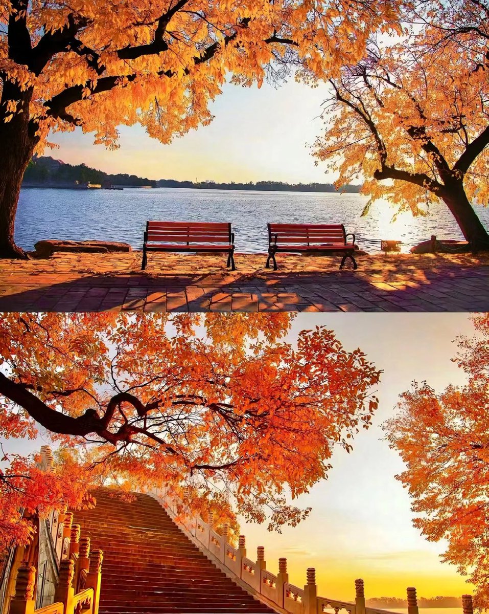 cxr1855876's tweet photo. The autumn in Peiping is like paradise.
—Lao She,novelist
#Laoshe
#FamousChineseNovelist
#BeijingAutumn
#ExploreBeijing
#heaven
#beautiful https://t.co/PH1CHI1VG6