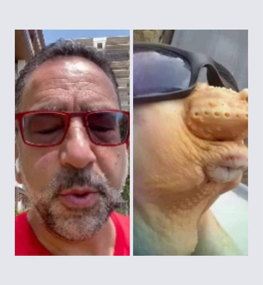 abraham_gobel's tweet photo. @JLozanoA Más bien la 4 transformación te la sume todos los días 🤭😂 https://t.co/DopJ1oFDJp