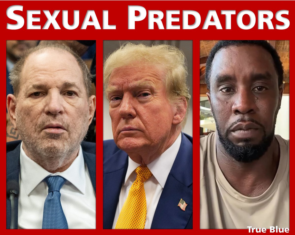 SPBMcKenna's tweet image. #TrumpIsASexualPredator 
#TrumpIsASexOffender