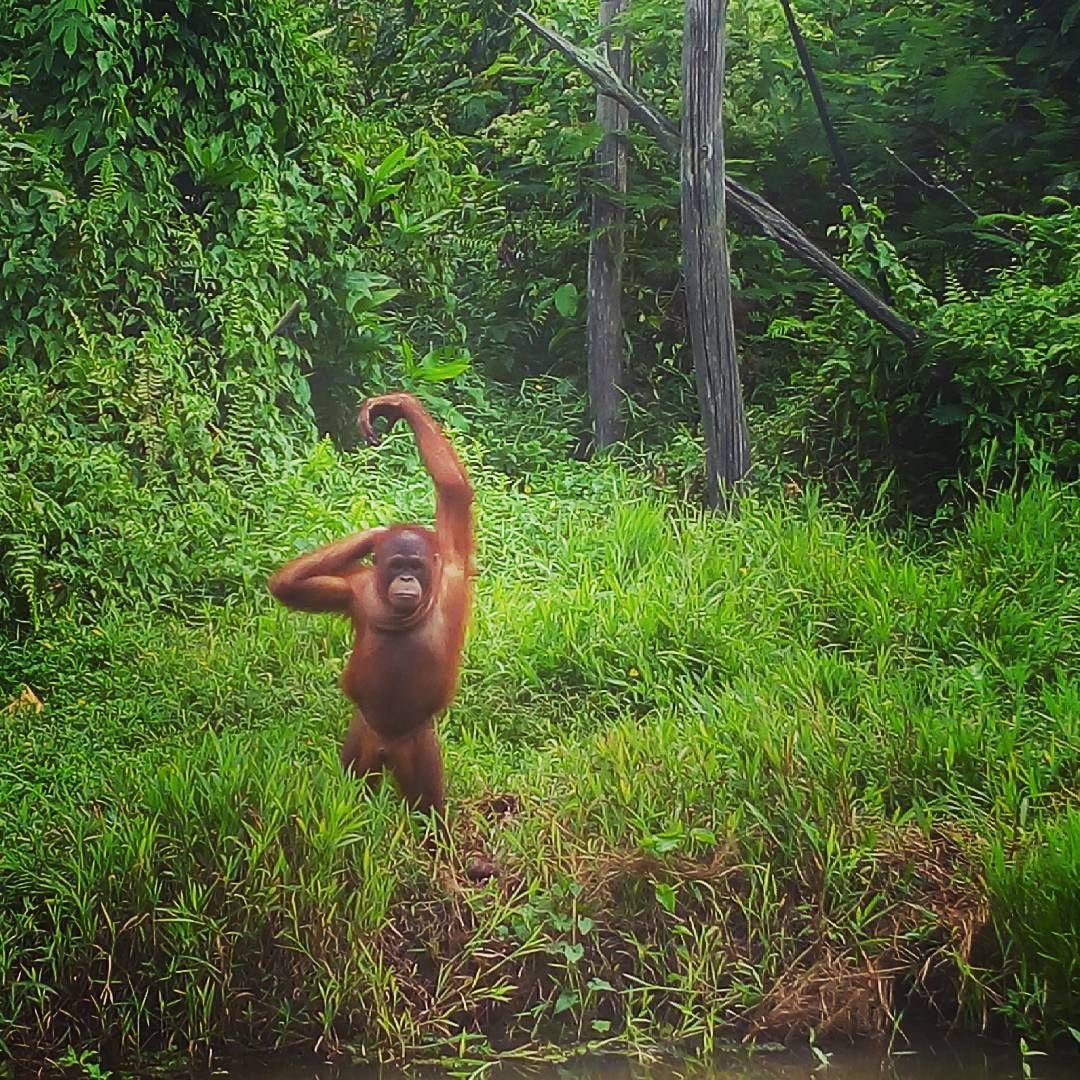 an email never found her