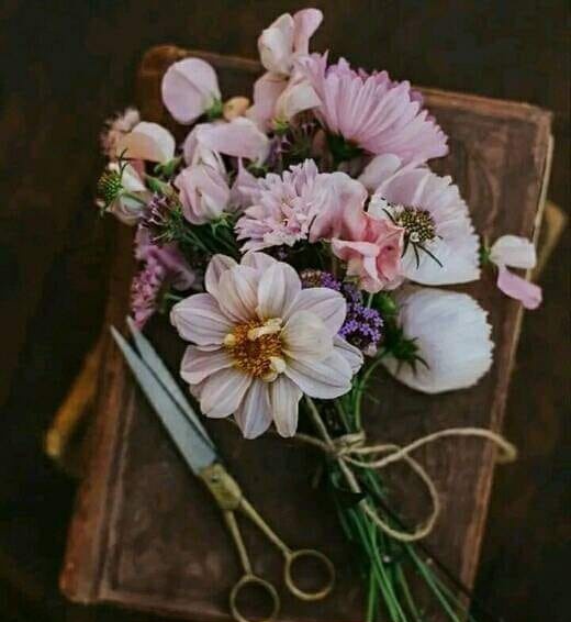 Good Morning 💟 
Have a good Saturday 👍🏻