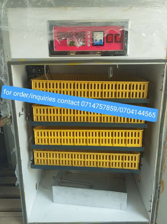 Dommietoo's tweet photo. @omwambaKE Selling egg Incubators both imported and locally assembled model. They're all automatic turning of eggs. For inquiries call/WhatsApp +254714757859/+254704144565 https://t.co/rzd1Rb7TN8