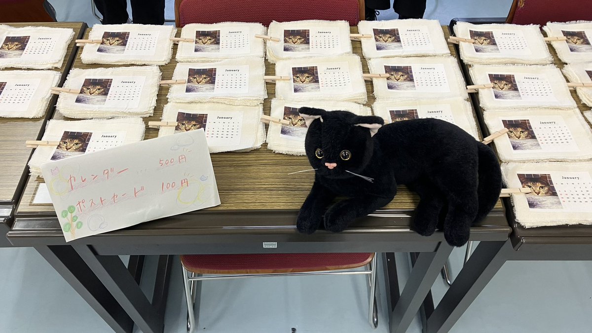 cat_volunteer's tweet photo. カレンダー残り43部です🐱
みなさんのご自宅にかわいい猫ちゃんをお迎えしませんか？？ https://t.co/9nloKAU6hK