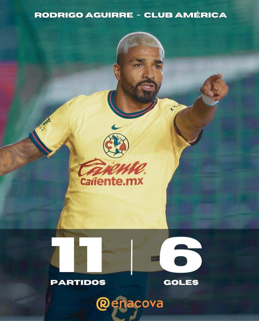daperma06's tweet photo. @FOXSportsMX @YayoDelaTorreM @guzmanjuegue @RafaMLOficial @chaco_81 @FerCevallosF Ceballos que decías del búfalo https://t.co/sSUe8aT7cO
