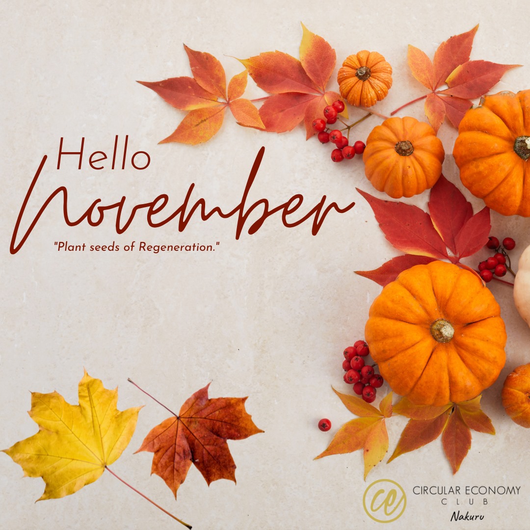 What are you looking to do different this month? #CircularNovember #CircularEconomy