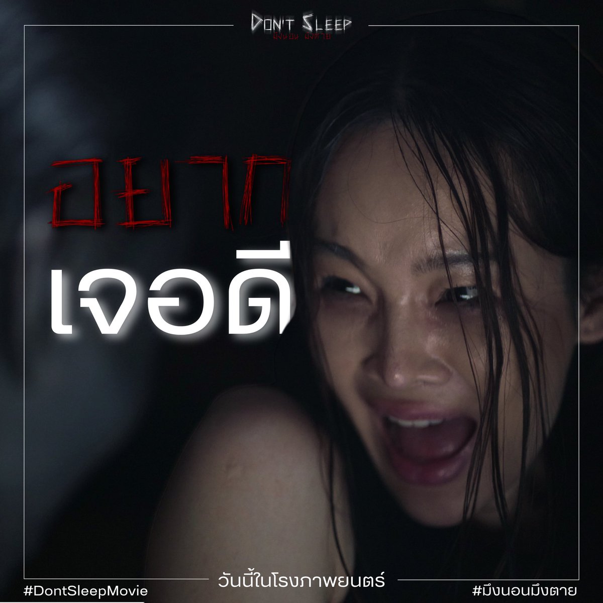 Thongkham_Films tweet media