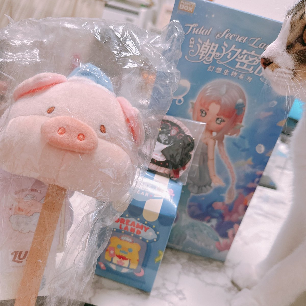 endalice3's tweet photo. ヘルニャー さんの福袋届いた！
豚ちゃんにシンウーどれも嬉しい
( ˶ ᷇𖥦 ᷆˵ ) https://t.co/ps3bci94wY