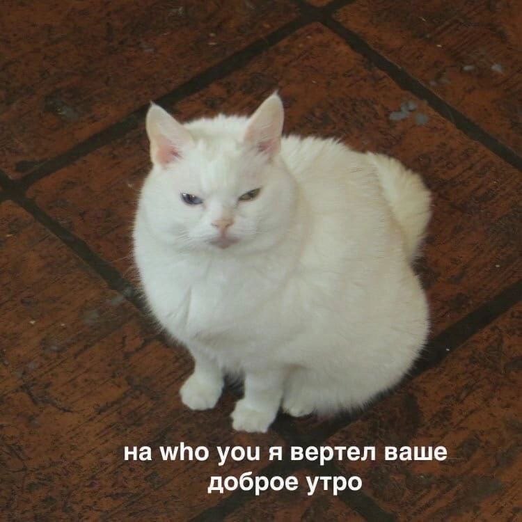 Состояние примерно такое: