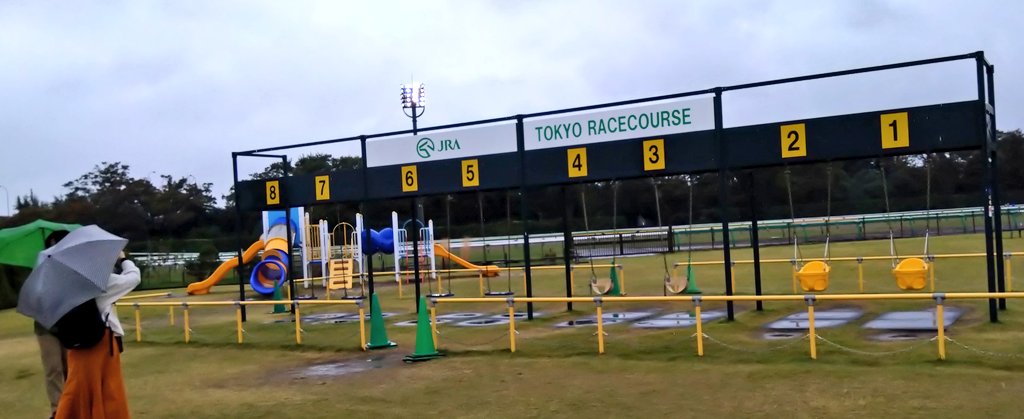 馬場内で観戦🐎障害レース初めて見たー