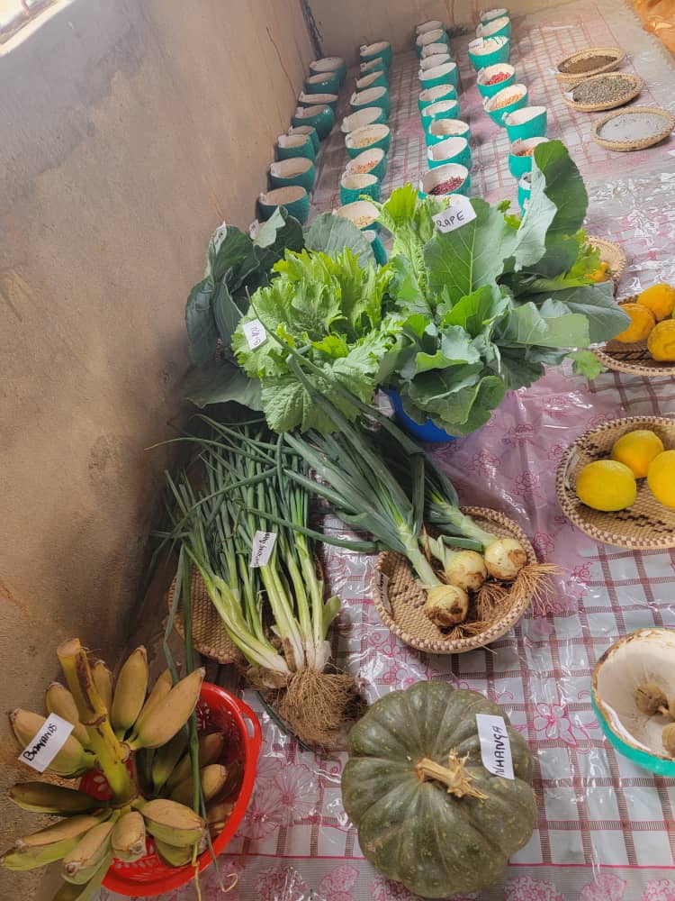 KPL_Women's tweet photo. We need to embrace our indigenous seeds which have existed from generation to generation
#GMOFreeKenya
#FarmersSeeds
#October31Ruling
#KeepTheBan
@PeasantsLeague @GRAIN_org @nothilfe @FundAgroecology @1000currents @LVCSEAf @Owiti1Susan @BlackFemFund @AfricaConsumers https://t.co/kB6t26btws