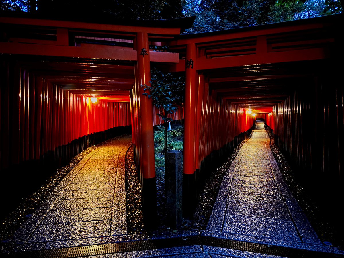 foresth915's tweet image. Fushimi Inari by night ⛩️⛩️⛩️
#fushimiinari #torii #nightphotography #kyoto #soryu #windgodthundergod