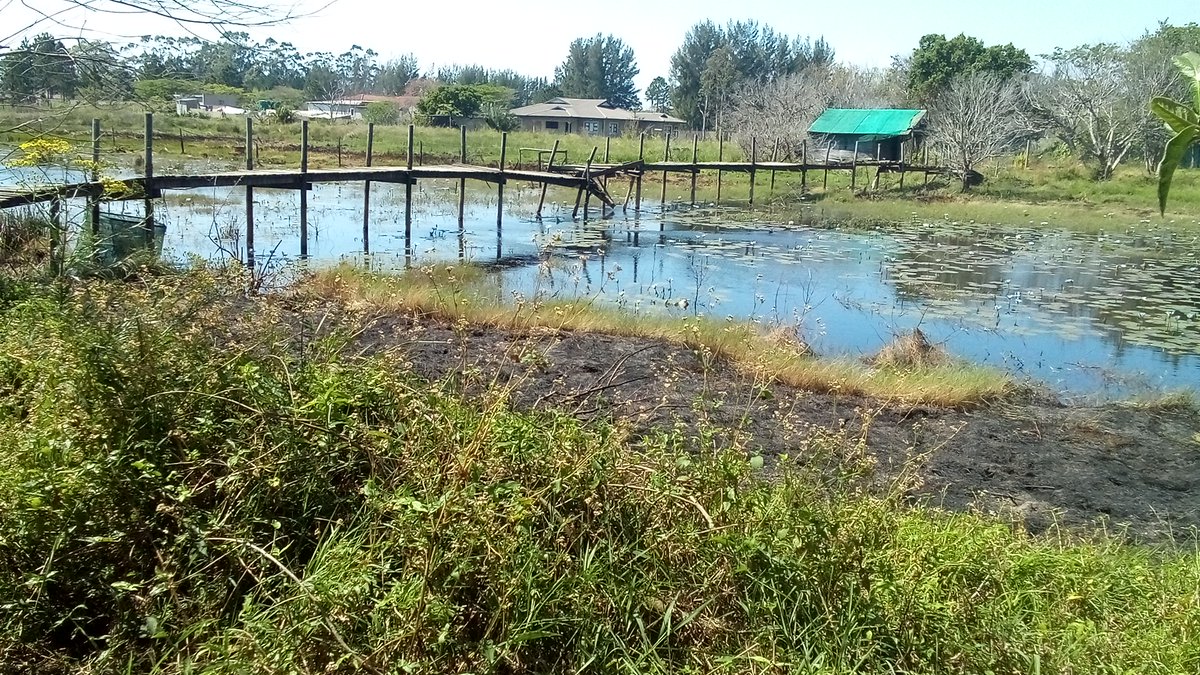 info4u2use's tweet image. And then there is the AI (Artificial Intelligence)  issue, where #HummingBird from 2013 is still causing confusion in great clouds of #SemanticConnectedness that sneaks in #EveryWhere and then even into a few extra hidden spaces that you did not know existed.