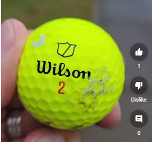 DaveNitzel's tweet photo. This little soldier fought the good fight, it took me to the bitter end where I choked away a best-ever score on 18 when I launched this precious soul into the bush.  In the end, I'm thankful for our time together!  https://t.co/A7JHCKz9gQ  @WilsonGolf #soldier #wilsonstaff # https://t.co/qA8gUtr6Ct