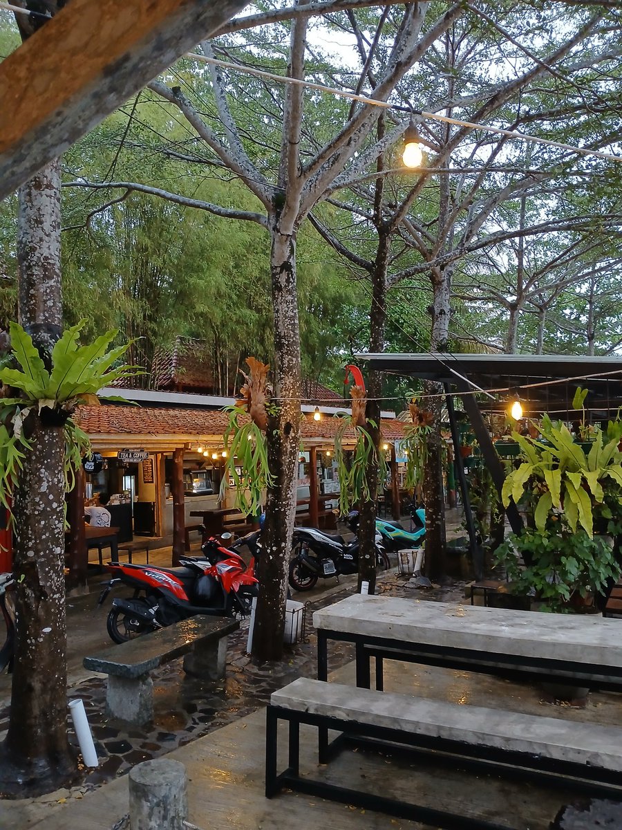 Stevaniehuangg tweet media