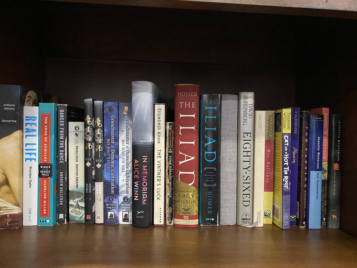 The queer lit shelf in my new bookcase is starting to come together