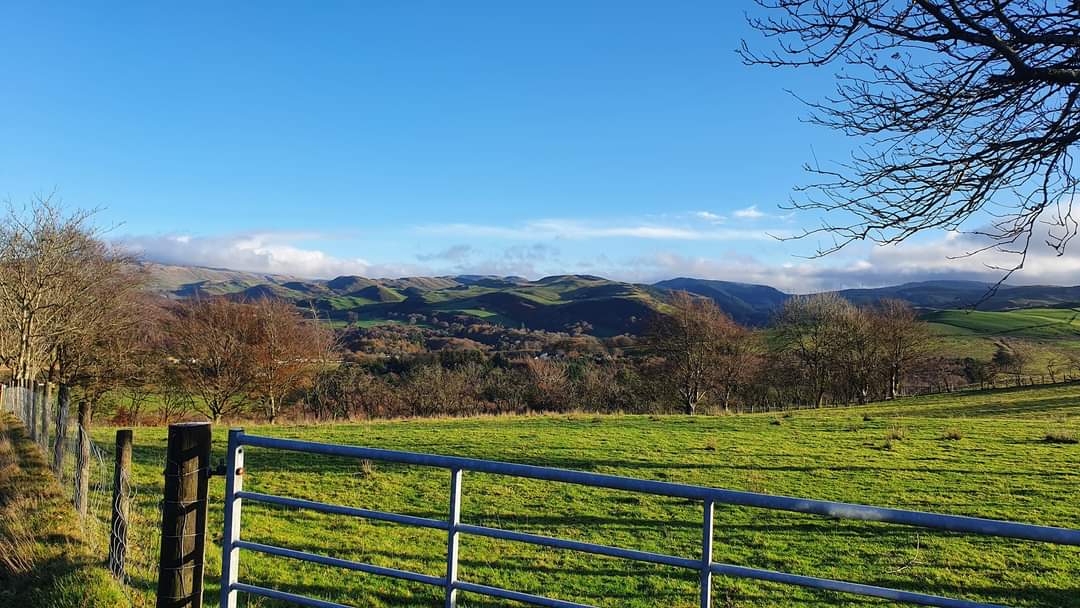 Absolutely Clay Pottery - Juliet Myers tweet media