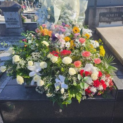 "Mi hija está muerta, ya lo han logrado. Que todos miren su tumba y nos concienciemos de que la violencia escolar mata".

Son las palabras de una madre rota por el dolor de perder a su hija por culpa del acoso escolar.  Daniela, de 16 años, se tiró desde un 6º piso al vacío