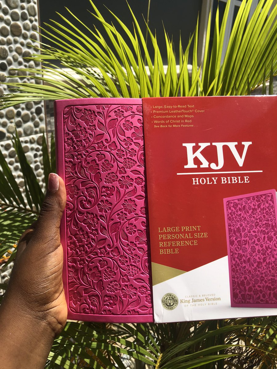 Everything Scripture Co tweet media