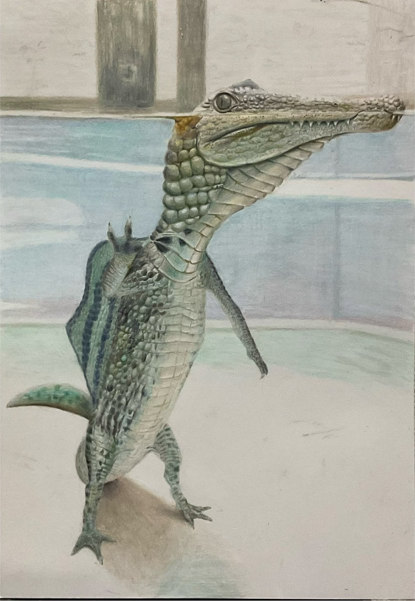 色鉛筆で描いたスピノサウルス