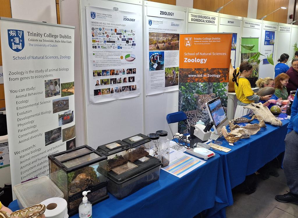 All set to go here at the zoology stand for TCD open day 2024.
Swing by and ask us about our wonderful courses. 🕷🐍🐌🦎🦂