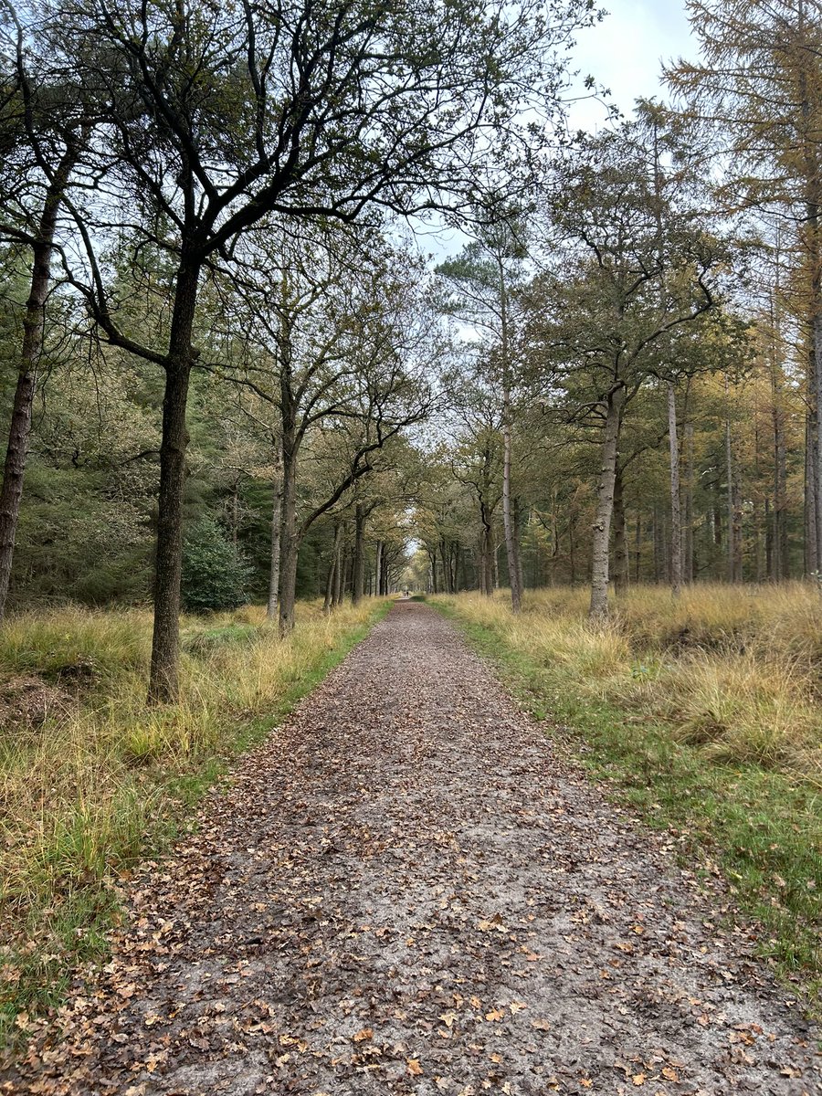 Krista Jansen tweet media