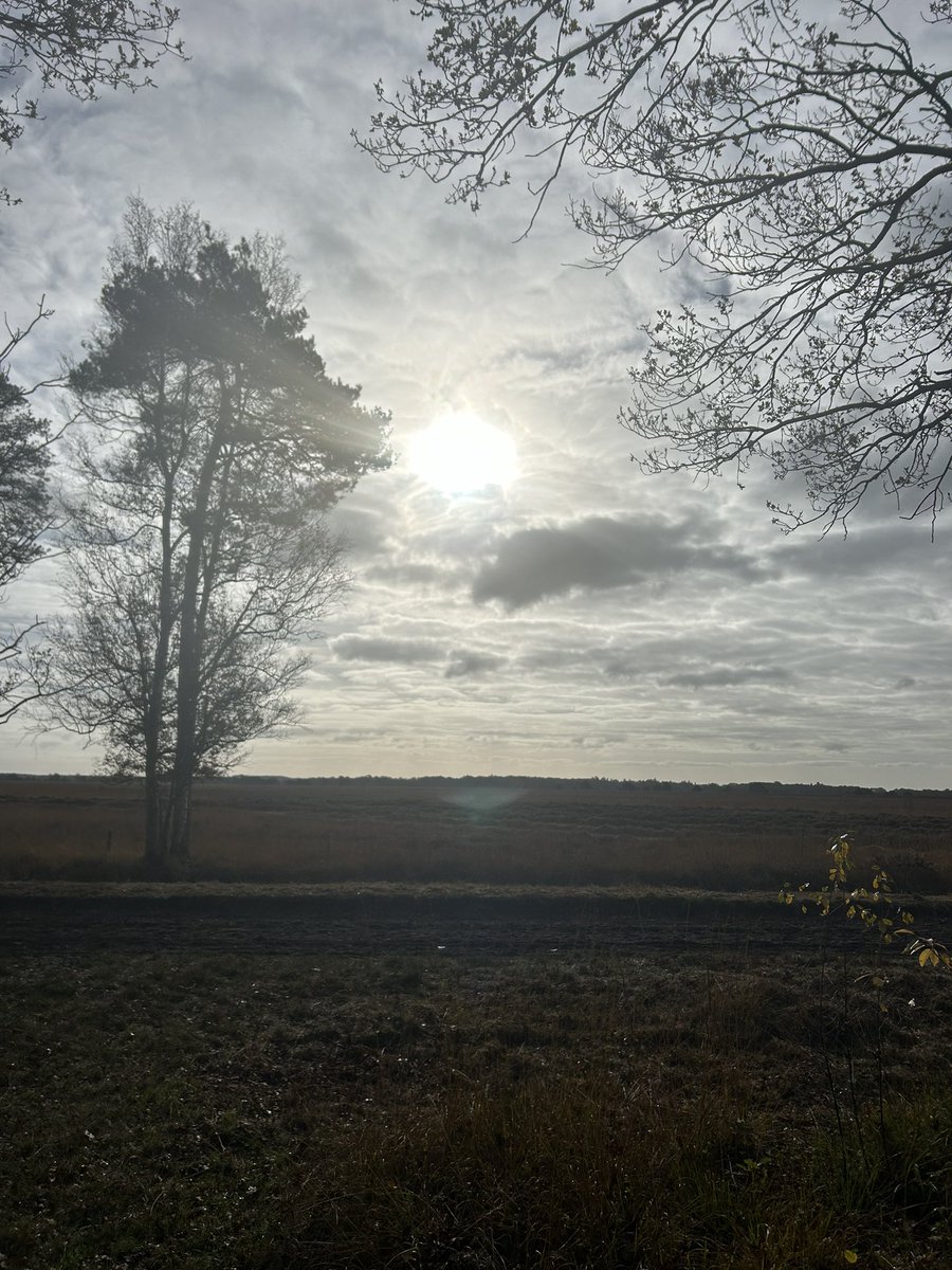 Krista Jansen tweet media