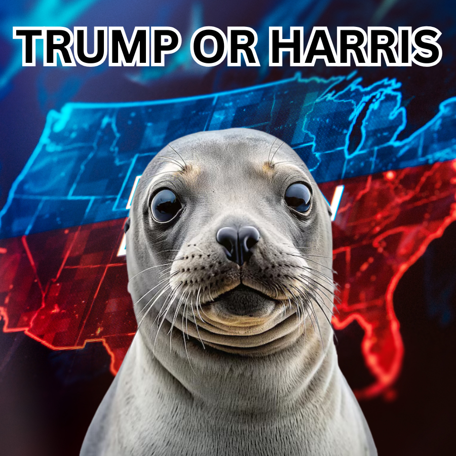 poppyonsui's tweet photo. #TRUMP or #HARRIS Election day is coming closer. Who is your next #PRESIDENT ? 🦭 $POPPY

https://t.co/5RDSZ8WefG

#POPPY #SUI #MEME #MEMECULT #ELECTIONS https://t.co/wfotxkw8Hb
