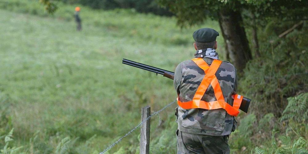 YaelAngel20's tweet image. #Chasse Suite à plusieurs incidents de chasse, le Benelux ne reconnaît plus le permis de chasse français. Ce permis est jugé fantasque, notamment du fait que les chasseurs obtiennent leur permis même s'ils échouent à l'épreuve de tir ! Pas obligatoire de savoir viser donc....