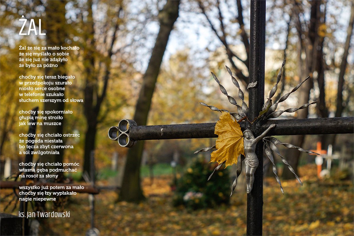 TwardowskiPEU's tweet photo. ŻAL

Żal że się za mało kochało
że się myślało o sobie
że się już nie zdążyło
że było za późno

choćby się teraz biegało
w przedpokoju szurało
niosło serce osobne
w telefonie szukało
słuchem szerszym od słowa

choćby się spokorniało
głupią minę stroiło
jak lew na muszce https://t.co/zRBW9FHtgq