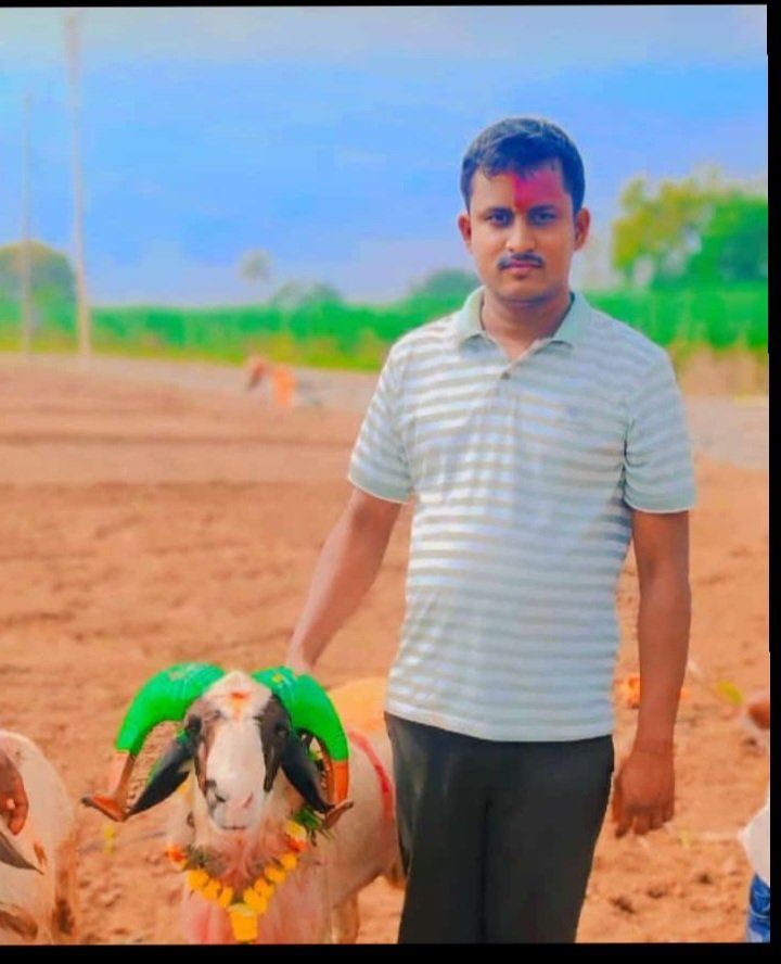 ಕುರಿಗಳೊಂದಿಗೆ ದೀಪಾವಳಿ.