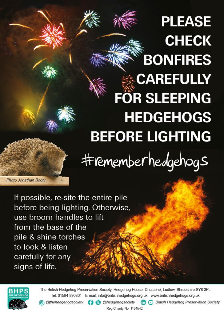 Hedgehog Society (@hedgehogsociety) on Twitter photo This weekend, we're talking about #bonfires! 
🦔 🚫 🔥 
We've put together top tips on how best to reduce the risk of harming #hedgehogs this #bonfirenight - please share it far & wide!
STOP. MOVE. CHECK! ⬇️
buff.ly/4eo95wC  
#rememberhedgehogs This weekend, we're talking about #bonfires! 
🦔 🚫 🔥 
We've put together top tips on how best to reduce the risk of harming #hedgehogs this #bonfirenight - please share it far & wide!
STOP. MOVE. CHECK! ⬇️
buff.ly/4eo95wC  
#rememberhedgehogs